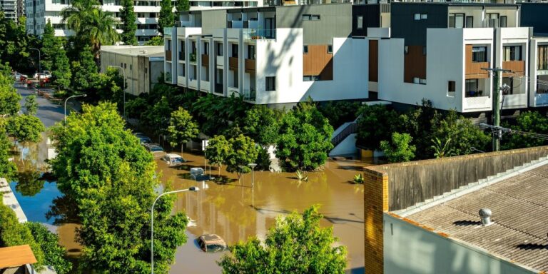 Image: Alex Cimbal/shutterstock.com