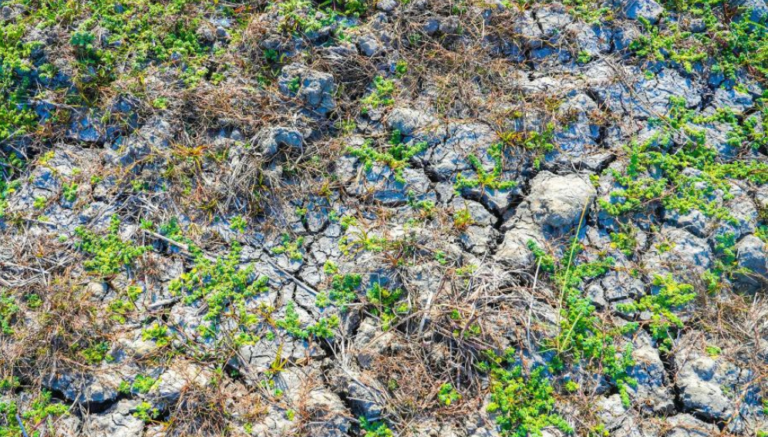 The exceedingly high temperatures are drying out farmlands and leading to school closures. Copyright: Manolito Liwanag