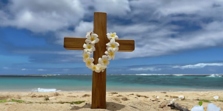 Image: shutterstock.com