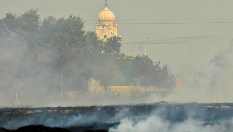 Burning of rice residues after harvest, to quickly prepare the land for wheat planting in India. Copyright: 2011CIAT/NeilPalmer