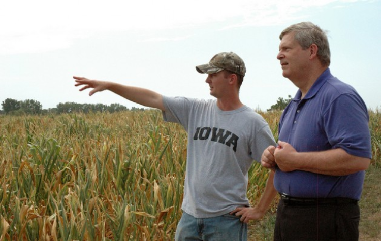Agriculture Secretary Tom Vilsack tours Eric Cress' farm to examine crop damage caused by the drought near Center Point, Iowa. Eric and his father Dale said their farm in eastern Iowa is running around seven inches behind normal rain levels for this time of year. Credit: USDA photo by Darin Leach