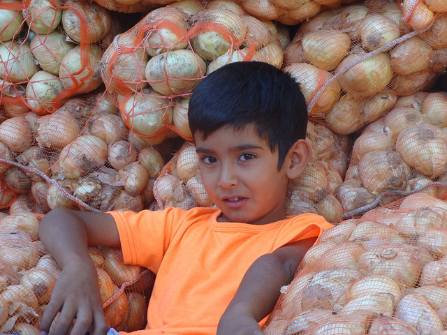 A boy leans against bags of onions at a farm in the town of Arraga in the northwest province of Santiago del Estero, one of the poorest parts of the country, where the main economic activity is agriculture. Credit: Fabiana Frayssinet/IPS