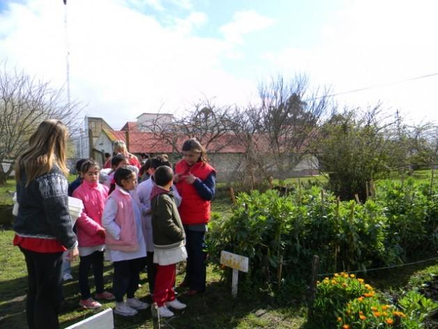 Rita Darrechon, the principal at the La Divina Pastora rural school, talks to a group of schoolchildren about the garden where they are growing food for their school meals. Credit: Fundación General Alvarado