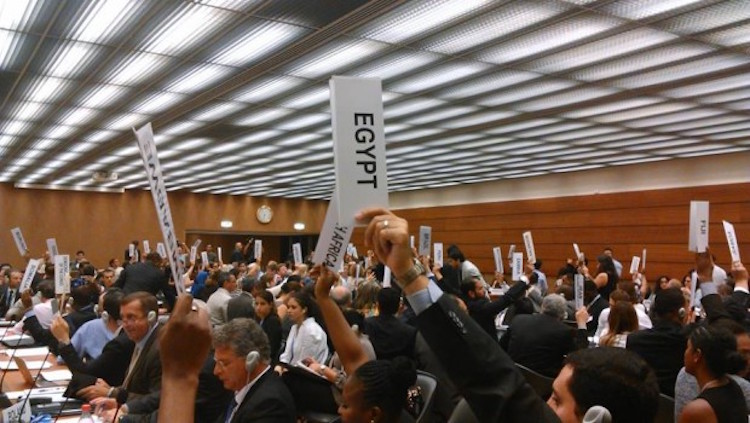 Photo: OEWG session in Geneva. Credit: Xanthe Hall