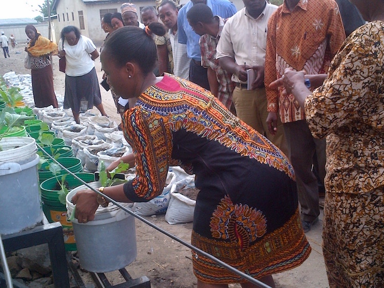 Demonstration of maximising resource use. /Kizito Makoye Shigela | IDN-INPS