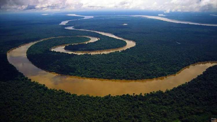 Colombian Amazon. Credit: Indigenous organization OPIAC