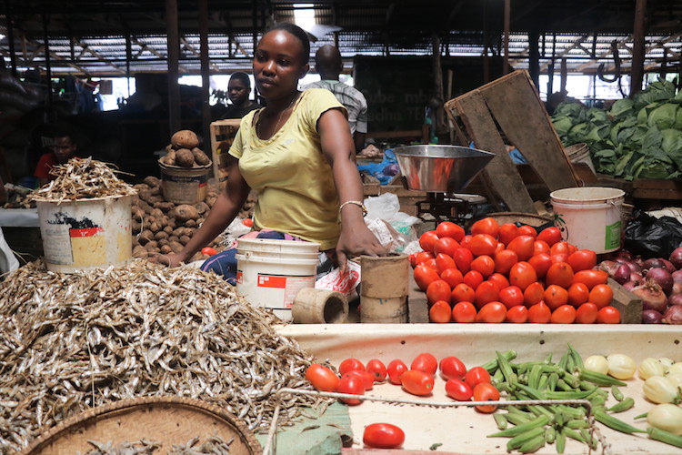 Aisha Shaaban sits in her wooden stall at Mchikichini market in Dar es Salaam waiting for her customers. She’s among women recently trained on women empowerment and how to avoid Gender violence. Credit: Kizito Makoye | IDN-INPS