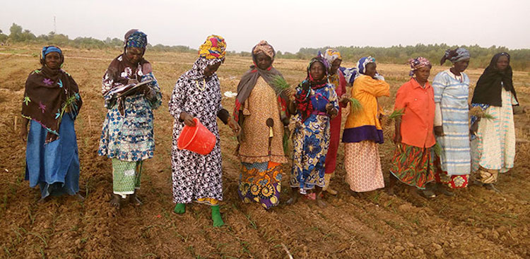 Photo: Members of the women's cooperative use climate-resilient organic compost and biopesticides in their farm. Credit: UN Women