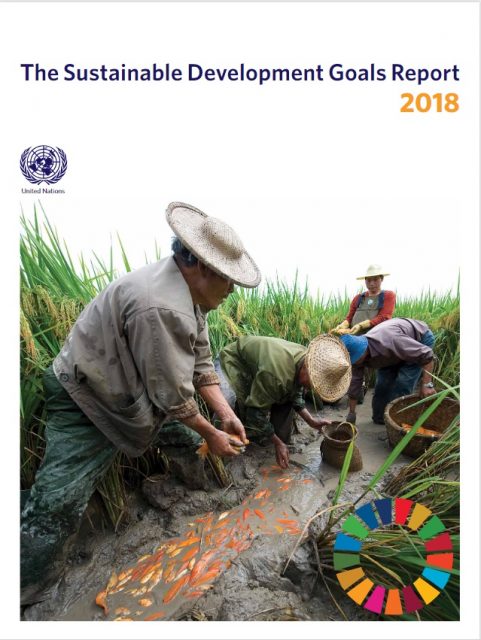 Photo: Cover of The Sustainable Development Goals Report 2018.