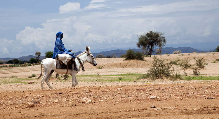 Photo: A woman dressed in blue rides a white donkey through open vast terrain surrounded by mountains. Credit: UN.