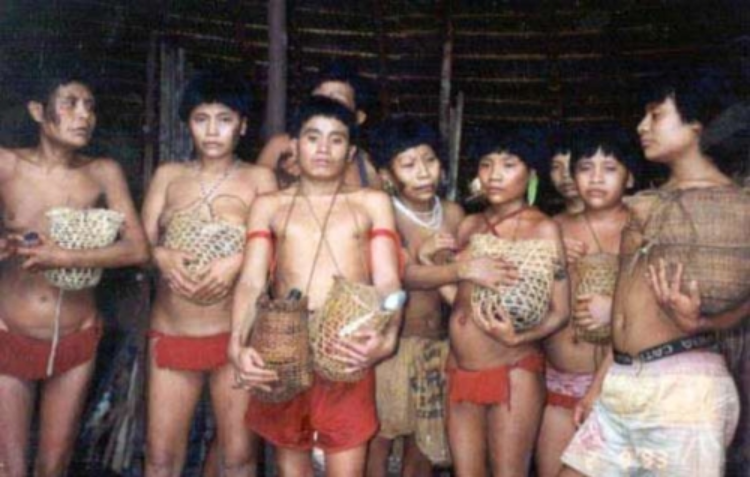 ｜南米アマゾン｜ヤノマミ族虐殺をめぐる謎
