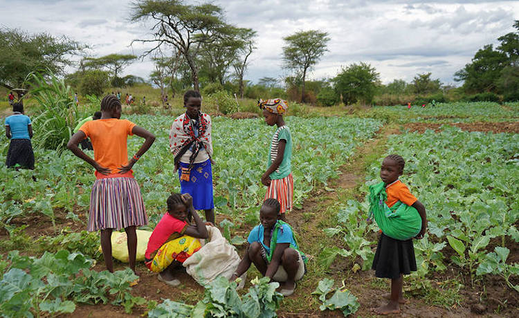 Photo: Global food supply chains are complex and include these kale farmers in Uganda. Credit: FAO.