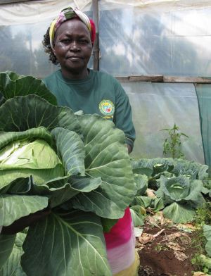 Ruth Muriuki in the greenhouse she built with the help of a microloan. Credit: Isaiah Esipisu/IPS