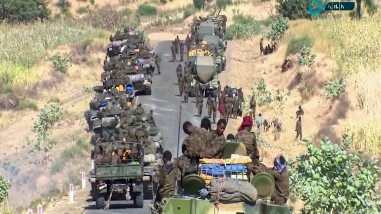 Photo: Ethiopian federal government's "final offensive" against Tigray regional forces. Credit: Ethiopian News Agency