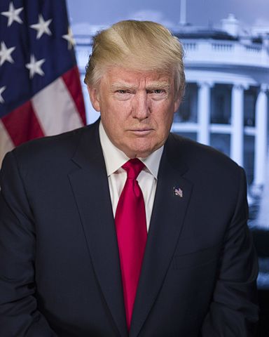President Donald Trump poses for his official portrait at The White House, in Washington, D.C., on Friday, October 6, 2017.