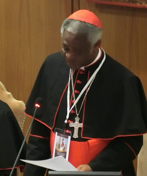 Cardinal Peter Turkson/ K.Asagiri|IDN-INPS