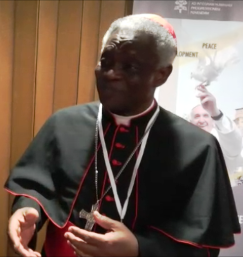 Cardinal Peter Turkson/ K.Asagiri | IDN-INPS