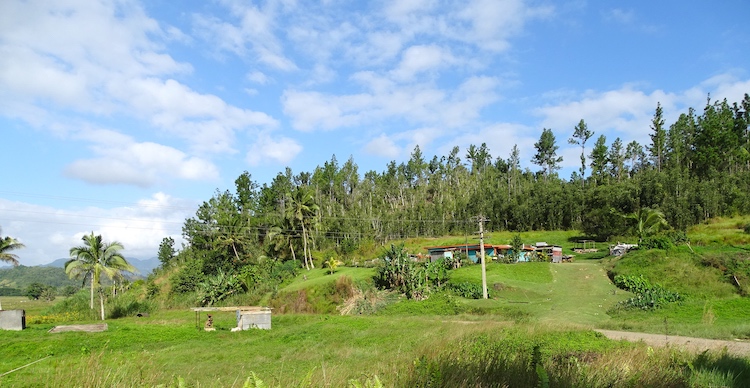 Photo: Farmer House—Indo-Fijian cane farmer's house (on top) and abandoned house and property (in foreground) after the expiry of the land lease. Credit: Kalinga Seneviratne