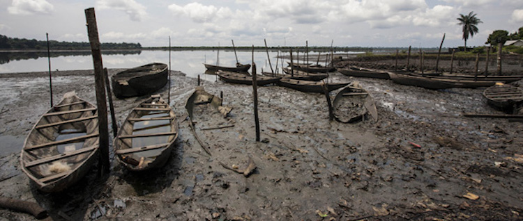 Photo: Wooden fishing boats sinking into the oily mud in the Bodo City of Ogoniland in Nigeria's Niger Delta region, the third largest mangrove ecosystem in the world. Credit: Friends of the Earth International