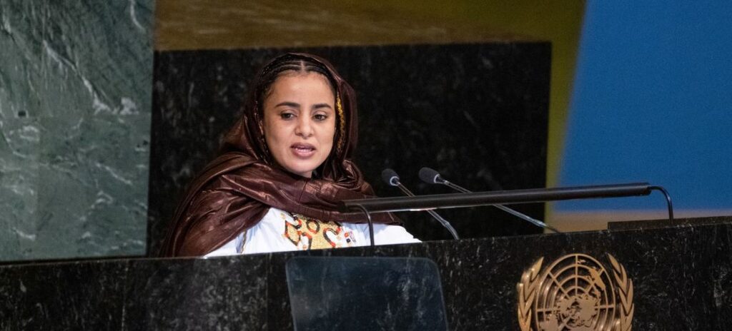 UN Photo/Eskinder Debebe Ms. Mariam Wallet Med Aboubakrine, Indigenous peoples' representative of the Socio-Cultural Region of Africa, addresses the UN General Assembly at the launch of the International Decade of Indigenous Languages.