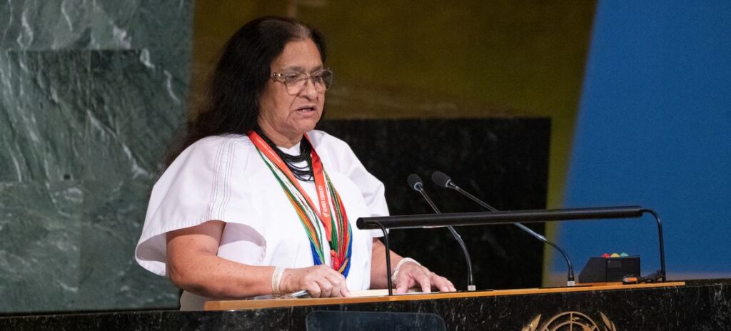 UN Photo/Eskinder DebebeAmbassador Leonor Zalabata Torres of Colombia addresses UN General Assembly members at the launch of the International Decade of Indigenous Languages.