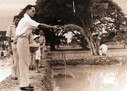 Bhumibol on agricultural practice in Chitralada Royal Villa/ By The National Archives of Thailand - The National Archives of Thailand, Public Domain