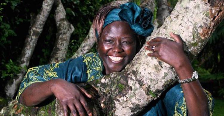 Wangari Maathai. Source: Daraja Academy